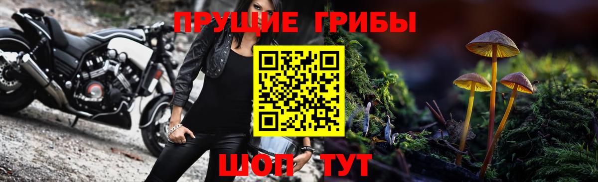 Псилоцибиновые грибы Cubensis  Вход с VPN  Богородск  как найти закладки  Псилоцибиновые грибы Cubensis 
